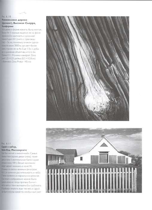 Ansel Adams. Camera. Negative. Print