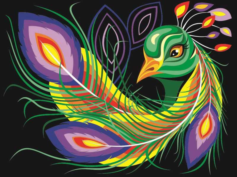 Paint by Numbers - Peacock