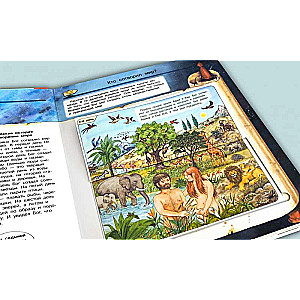 What? Why? How? Bible Stories