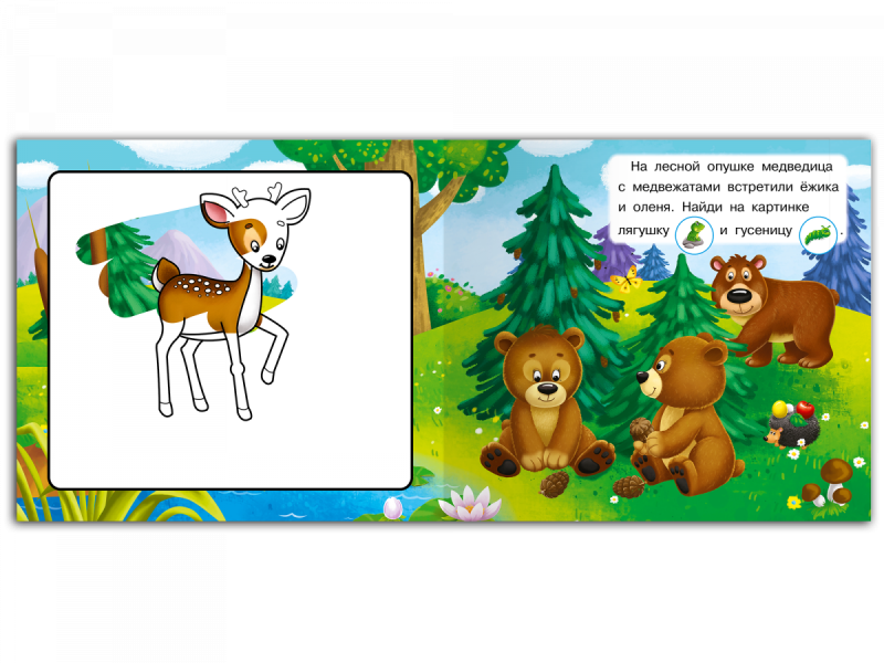 Animals of Our Forest. Reusable Water Coloring Books