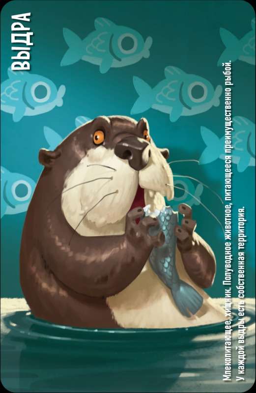 Tabletop Game - Similo: Animals