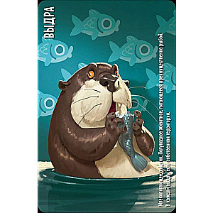 Tabletop Game - Similo: Animals