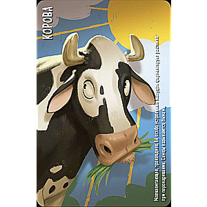 Tabletop Game - Similo: Animals