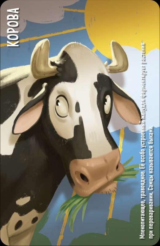 Tabletop Game - Similo: Animals