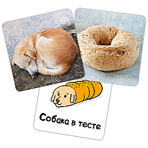 Board Game - Bobik or Bagel?