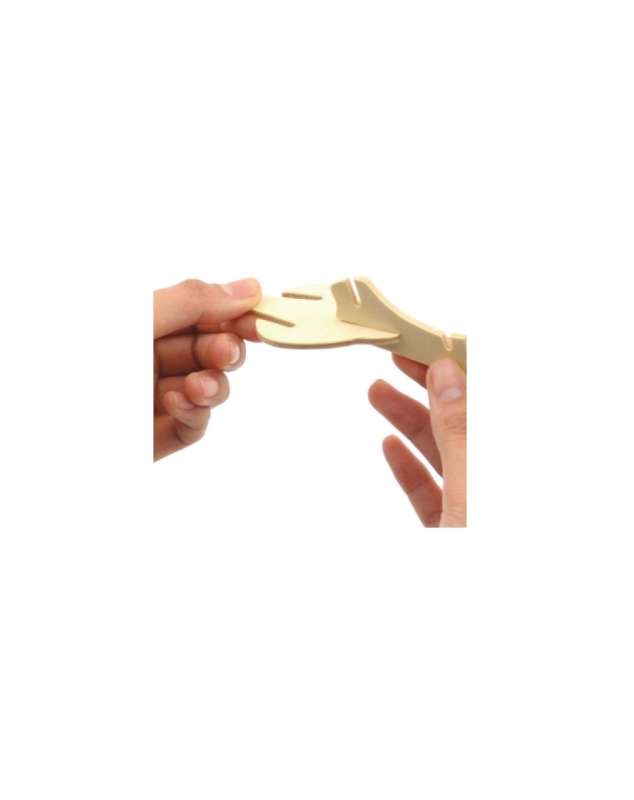 ANDREU Creative Set - Wooden Crocodile Skeleton