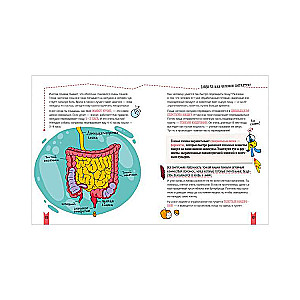 How is a person arranged? A children's science book