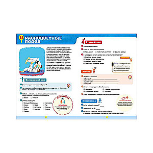 Workbook for Mathematics, Russian Language, Reading, and Nature Study. 2nd Grade