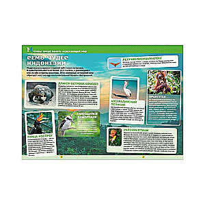 Workbook-Training in Mathematics, Russian Language, Reading, and the World Around Us. Grade 3