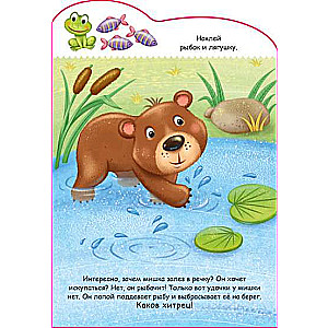 Bear cub