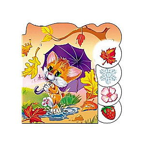 Seasons
