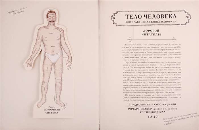 The Human Body. An Interactive Panorama Book
