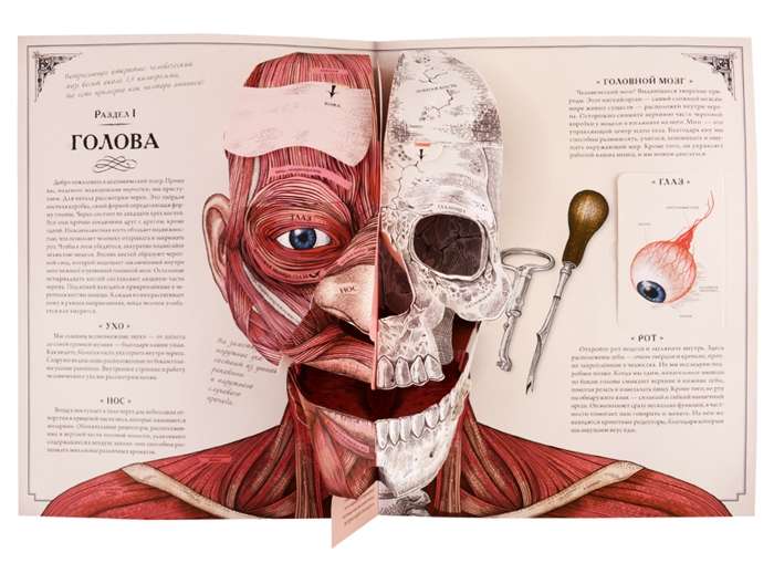 The Human Body. An Interactive Panorama Book
