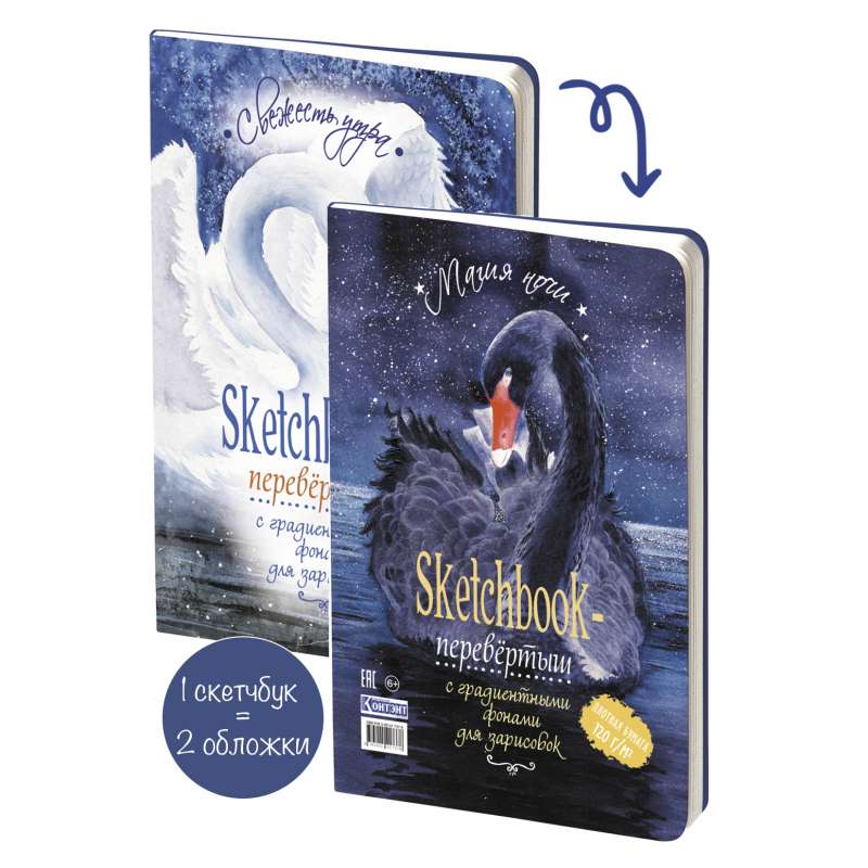 Sketchbook DAY/NIGHT cover with swans