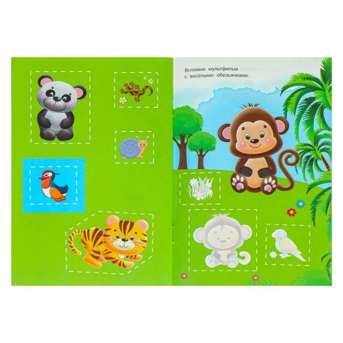 Application. Zoo