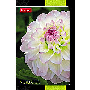 Notebook 48 sheets A7 - Floral Galaxy