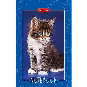 Notepad 48s A7 - Fluffy Paws