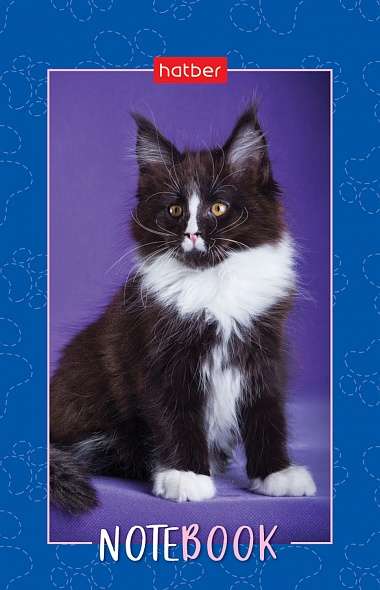 Notepad 48s A7 - Fluffy Paws