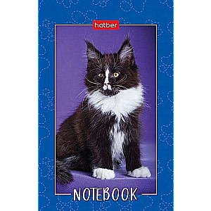 Notepad 48s A7 - Fluffy Paws
