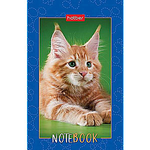 Notepad 48s A7 - Fluffy Paws