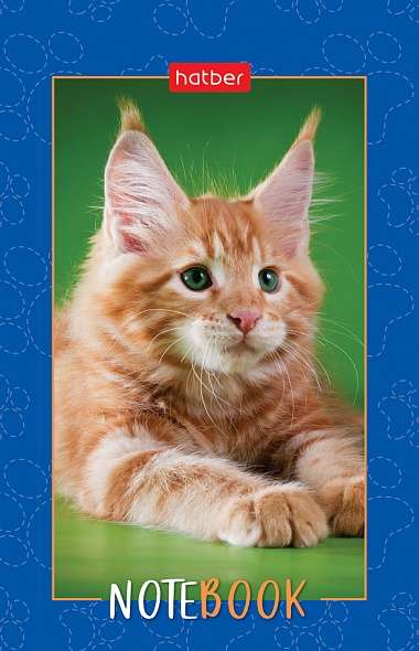 Notepad 48s A7 - Fluffy Paws