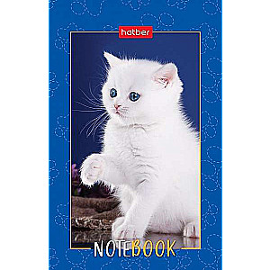 Notepad 48s A7 - Fluffy Paws