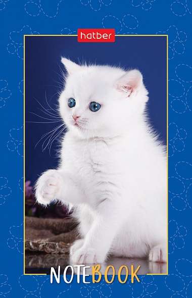 Notepad 48s A7 - Fluffy Paws