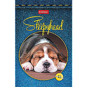 Notebook 48 sheets A7 - Soni-Zasoni