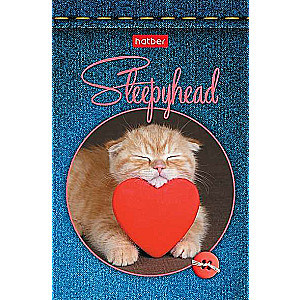 Notebook 48 sheets A7 - Soni-Zasoni