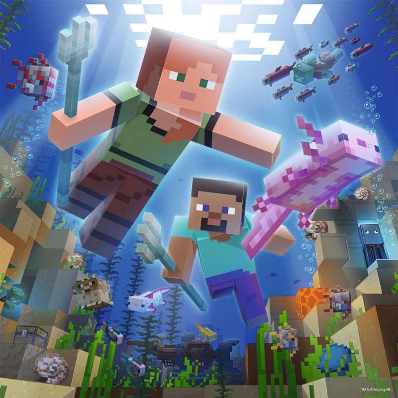 Minecraft Puzzle, 3x49