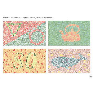 Training Vision with Stereograms. 80 Stereograms