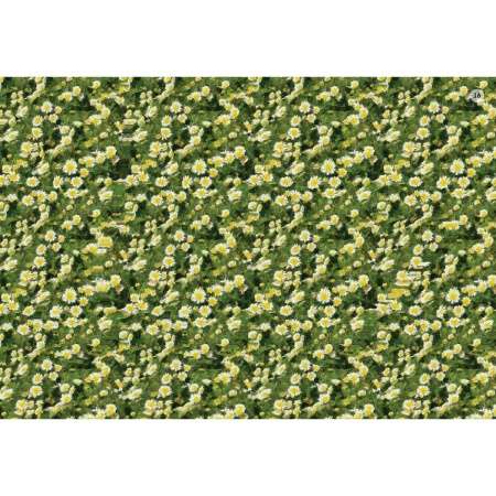Asborn cards. Stereograms for the whole family. 80 images for vision training