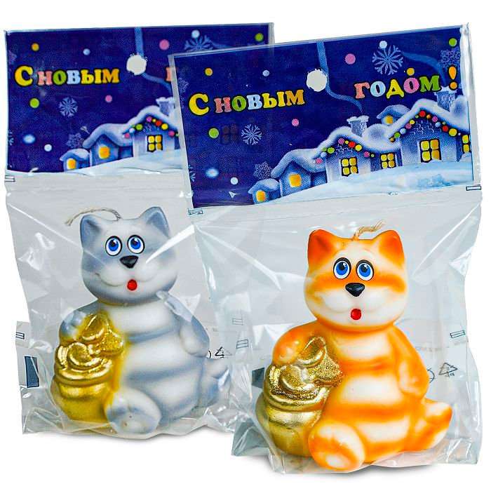 Show-box cat with coins