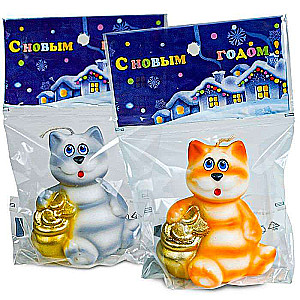 Show-box cat with coins
