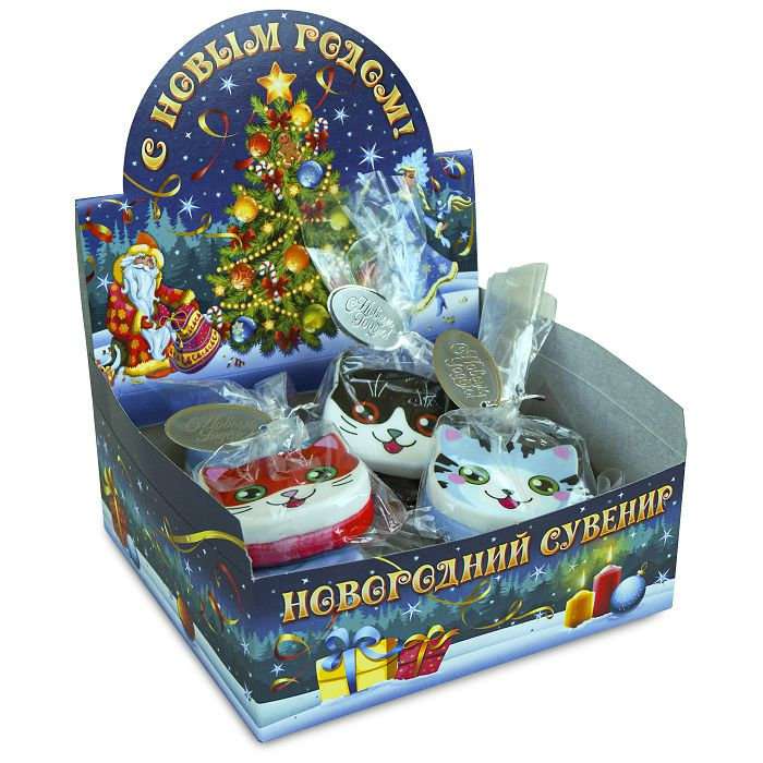 Show-box kitties