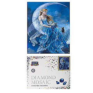 Diamond mosaic 30x40 cm frame 33x43 cm FAIRY WITH A BLACK CAT