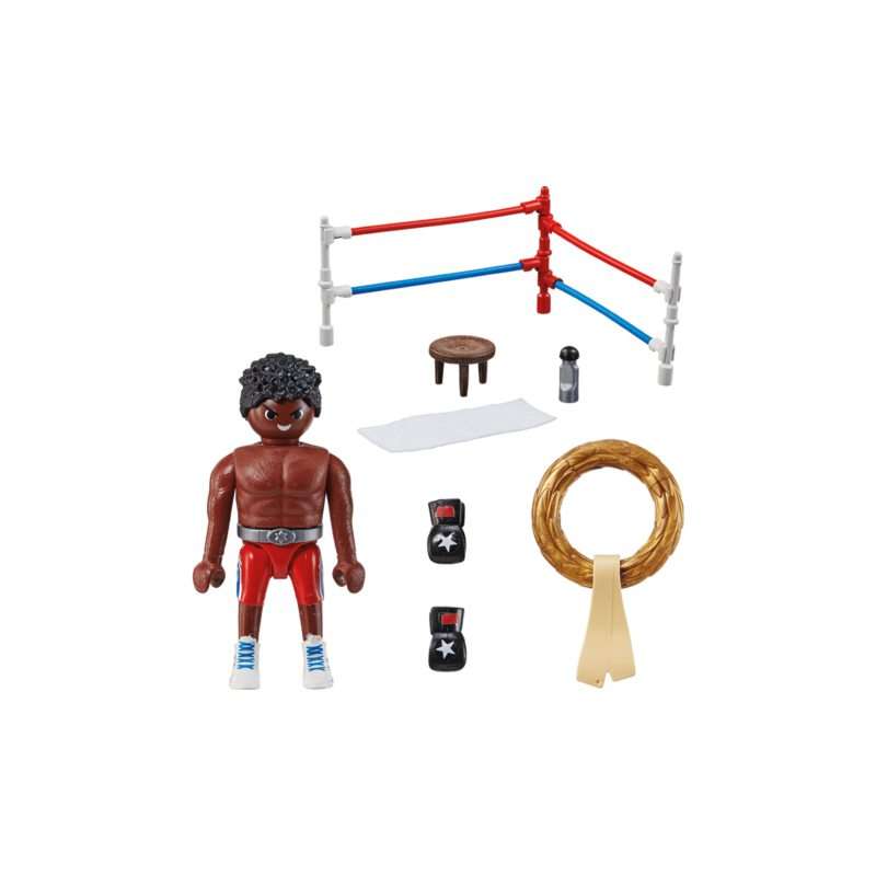 Boxing Champion