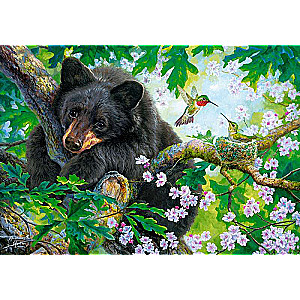 Puzzle Wish I Could Fly 500 pcs.