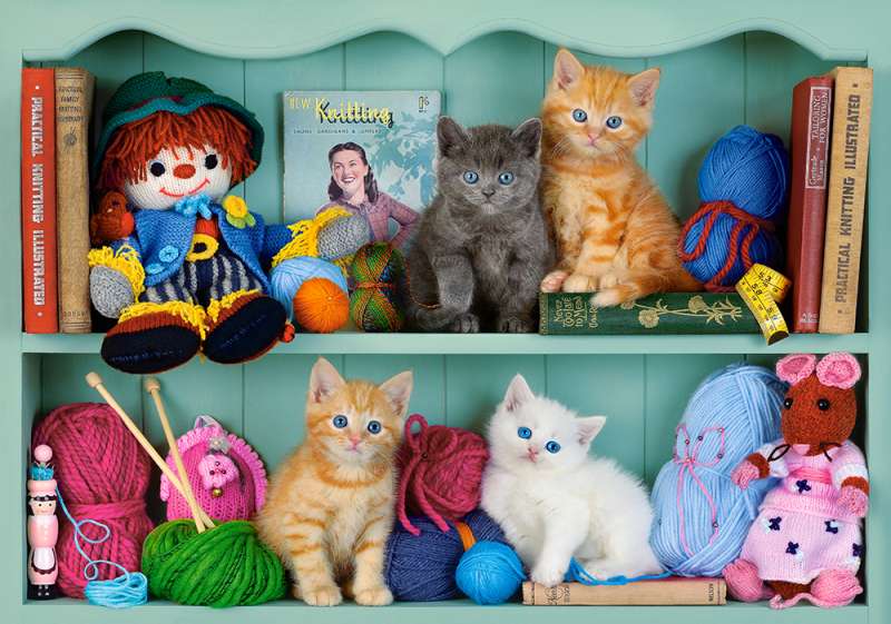 Puzzle Kitten Shelves 500 pcs