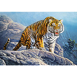 Puzzle Tiger on the Rocks 500 pcs
