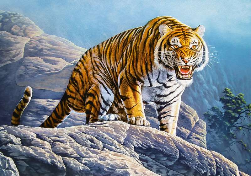Puzzle Tiger on the Rocks 500 pcs