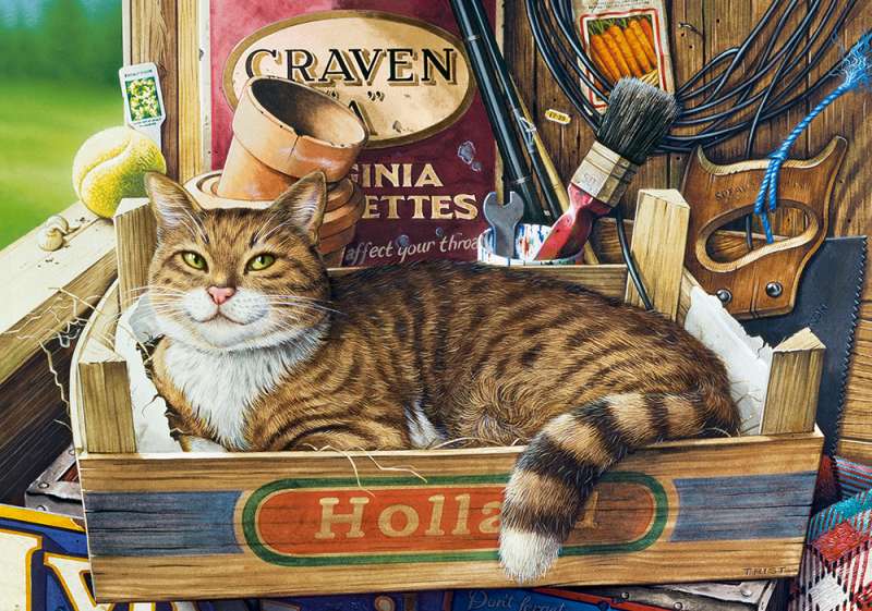 Fothergill Puzzle 500 pieces