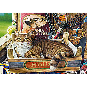 Fothergill Puzzle 500 pieces
