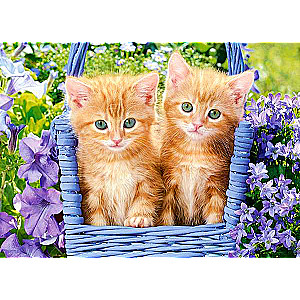 Ginger Kittens Puzzle 60 pieces