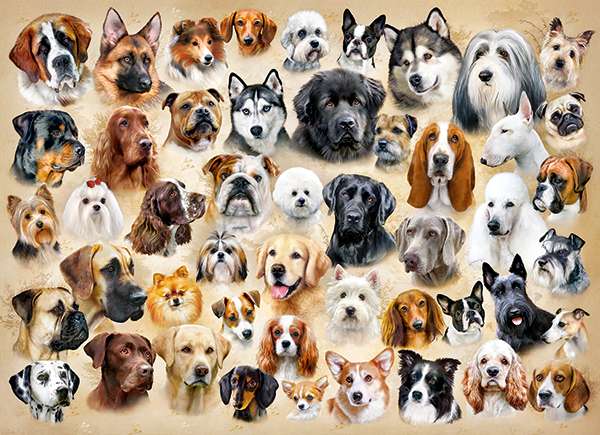 Puzzle Collage with Dogs 200 pieces