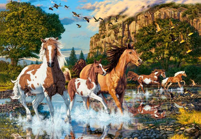 Puzzle Horse Wonderland 1000 pcs.