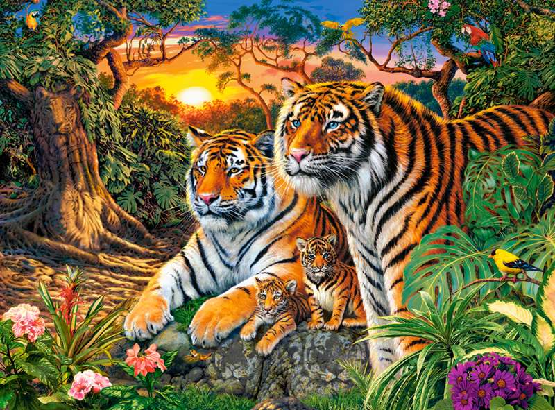 Tiger Family Puzzle 2000 pcs