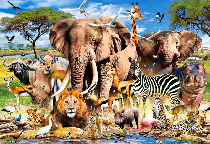 Savanna Animals Puzzle 1500 pieces