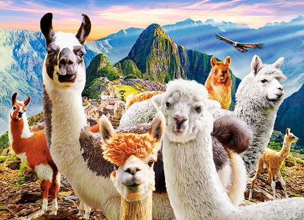 Puzzle Llamas Selfie 200 pcs.