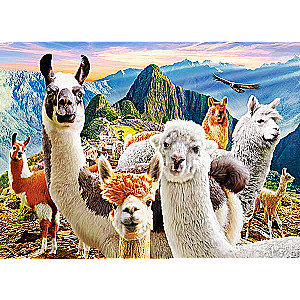 Puzzle Llamas Selfie 200 pcs.